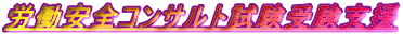 JSRTg󌱎x